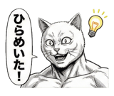 871562970