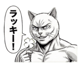 871562973