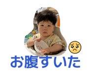 871563037