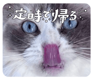 871563051
