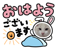 871563100