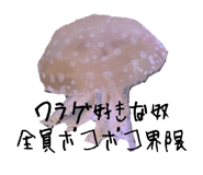 871563161