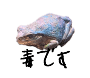 871563164