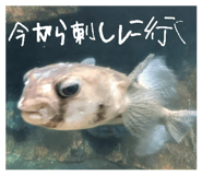 871563168