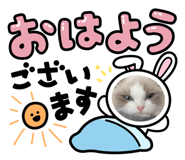 871563233