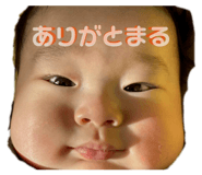 871563254