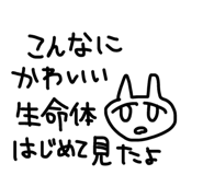 871563626