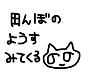 871563627