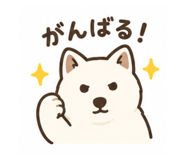 871563641