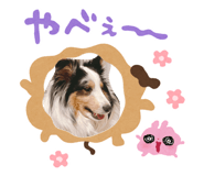 871563692