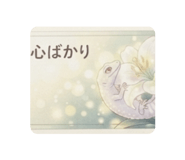871564067