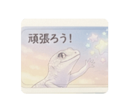 871564077