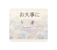 871564080