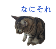 871565045