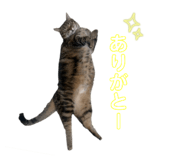 871565058