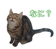 871565068