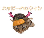 871565610
