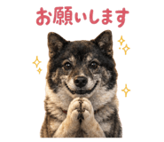 871565688