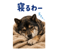 871565701