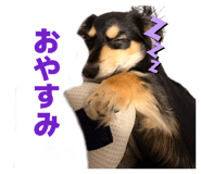 871589693