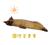 871590130