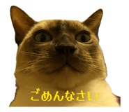 871590135