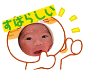 871591555