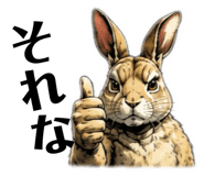 871592853