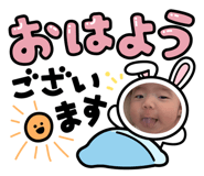 871593244