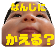871595149
