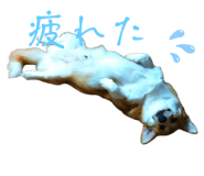 871595378