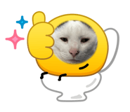 871595594