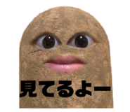 871595635