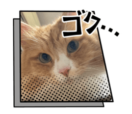 871601732