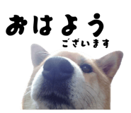 871659570