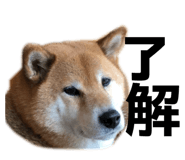 871659581
