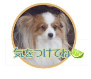 871659890