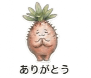 871666508