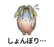 871666516
