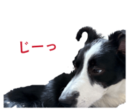 871681106