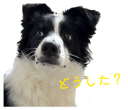 871681107