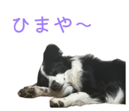 871681112