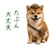 871683898