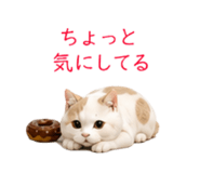 871683899