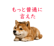 871683913