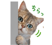 871721823