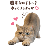 871721845