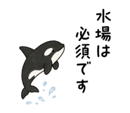 871815705