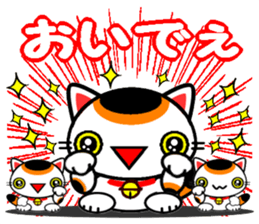 8718498