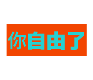871886704